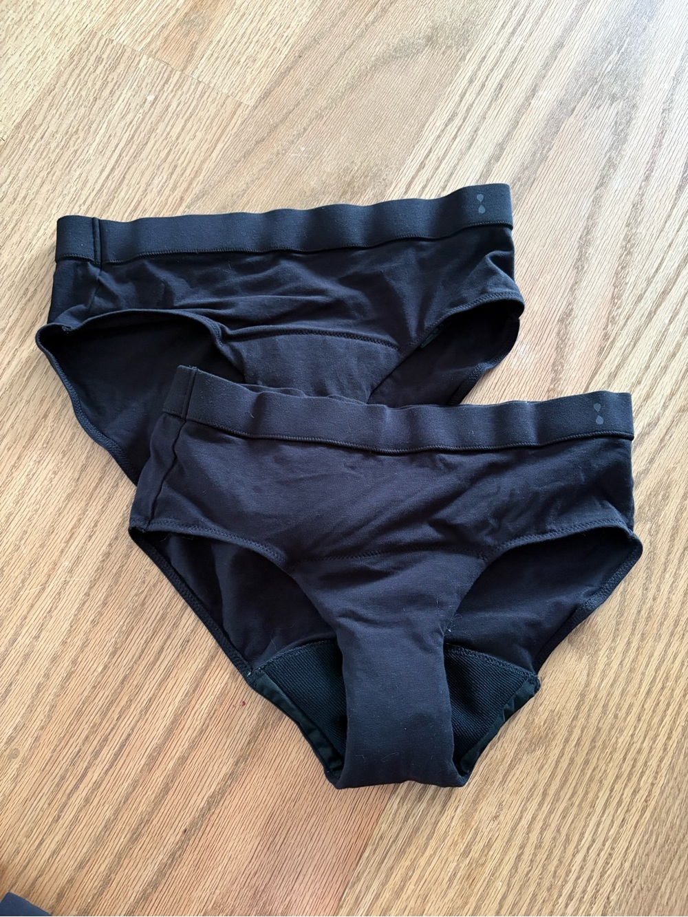 THINX brief panties (2)